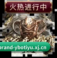 未来观赛图景